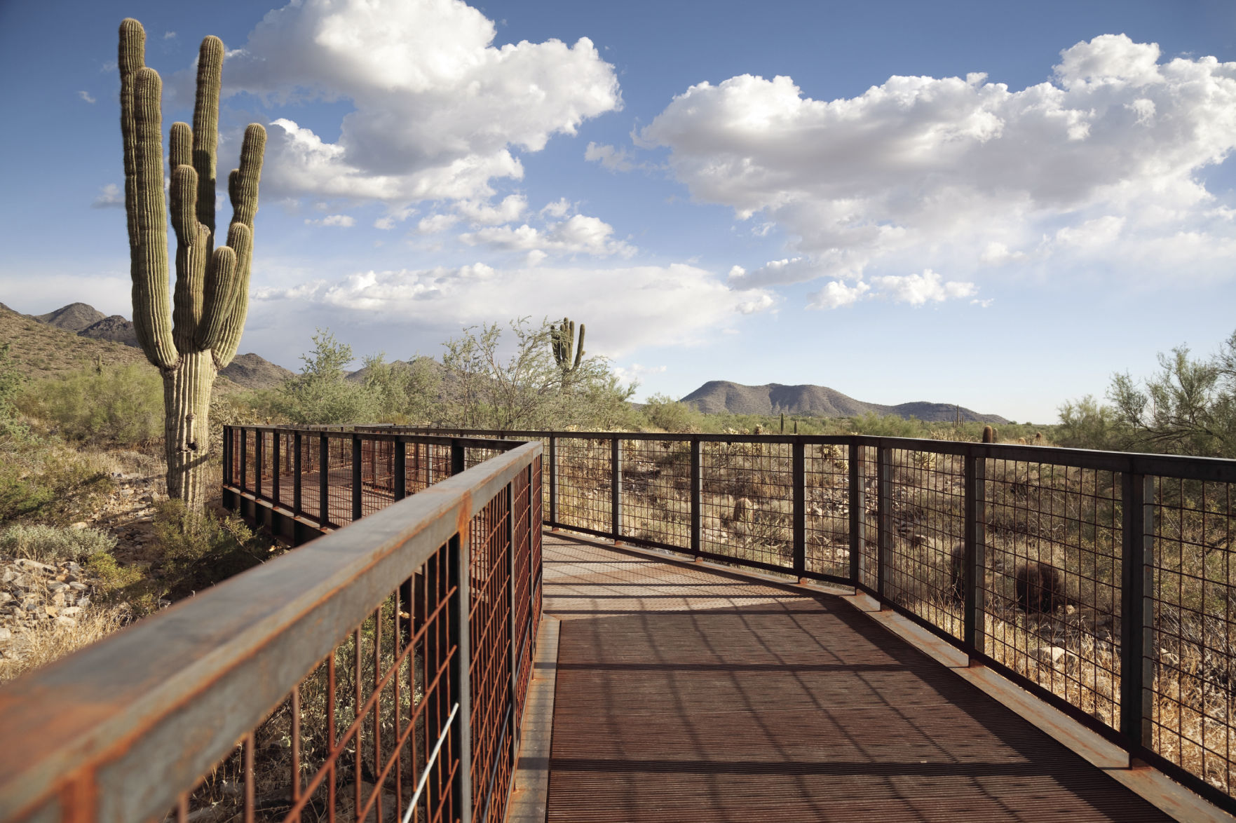 McDowell Sonoran Preserve